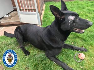 Supporting image for story