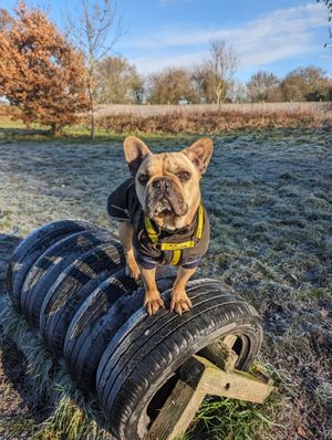 Leo has spent over a year looking for his special someone 