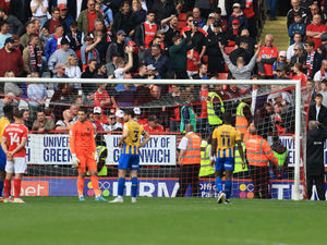 Supporting image for story: Police investigating alleged racist abuse towards Shrewsbury Town's Marko Marosi