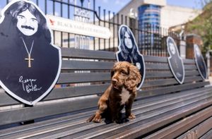 West Midlands Police has paid homage to heavy metal legends Black Sabbath by naming a litter of puppies in their honour.  Release date  July 4, 2025.  The force unveiled their next generation of four-legged crime fighting pups after they were born earlier this year.  Ahead of the band's gig tomorrow (Sat), the seven Sprocker puppies have been named Ozzy, Toni, Sabbath, Billie, Wizard, Geezer - and Sharon.  Adorable photos show the litter exploring the rock icons hometown of Birmingham - including the famous Black Sabbath Bridge and the world's first Ozzy Osbourne museum exhibition.  The cute new recruits also visited The Crown pub - considered the birthplace of heavy metal and where Ozzy and co played their first ever gig. 