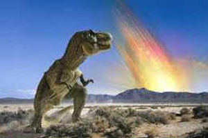 Supporting image for story: Letter: The fossil record does not support theory of evolution