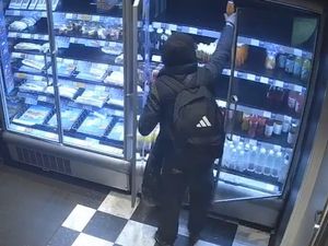 Supporting image for story: Greggs thief nicknamed ‘Hamster’ by staff seen stealing drinks in plain sight