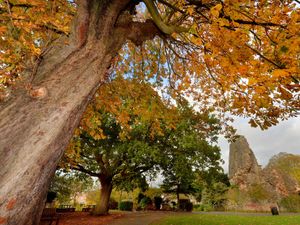 Supporting image for story: Wildlife expert details how climate change is already affecting Shropshire