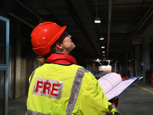 Supporting image for story: Kitten rescued after three days stuck in tree near Shrewsbury
