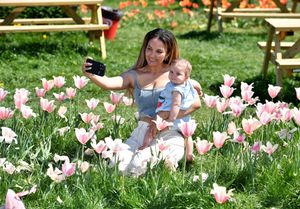 Tulip Festival at Lower Drayton Farm, Penkridge, during Staffordshire Day celebrations. A visitor does a selfie amongst the tulips.