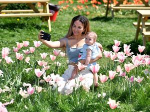 Tulip Festival at Lower Drayton Farm, Penkridge, during Staffordshire Day celebrations. A visitor does a selfie amongst the tulips.
