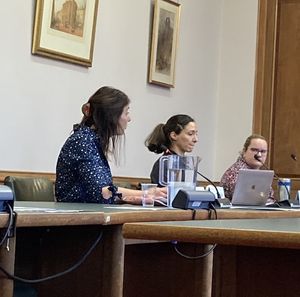 Stourbridge MP Cat Eccles speaking at the Dudley Local Plan enquiry. Picture Martyn Smith/LDRS free for LDRS use