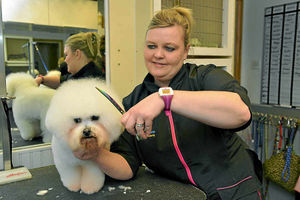 Just a trim - Sam's Pampered Pets owner Sam Wilkes with Daisy.