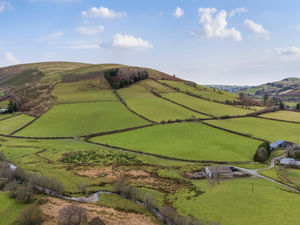 Supporting image for story: Wye Valley livestock farm on the market with a guide pride of £950,000