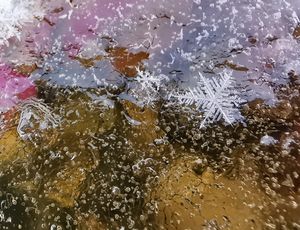 Snowflakes taken in Dawley, Telford. Photo: Liam Ball 