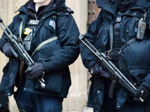 Supporting image for story: Armed police arrest man with rifle, revolver and knives near Llangollen
