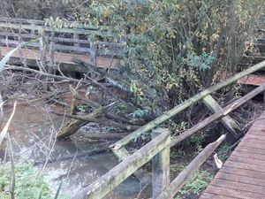 Supporting image for story: Vandals target boardwalk at Ellesmere nature reserve