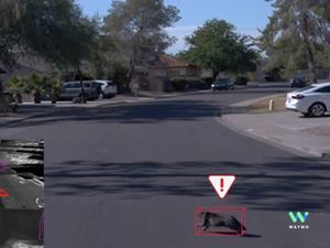 Supporting image for story: Waymo shows how its autonomous car dodged a cat