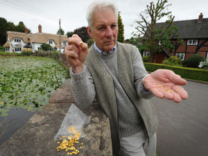 Supporting image for story: Ouch! Cyclists a prickly subject in idyllic village