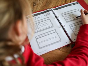 Supporting image for story: Middle-class children ‘spend more time learning’ in lockdown than poorer peers