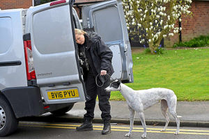 The family's dog is led away from the home