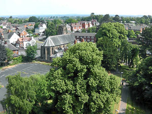 Supporting image for story: Spectacular pictures from church tower are a reward for tough climb