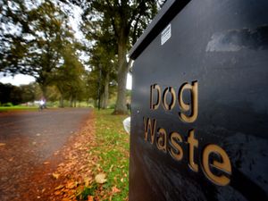 Supporting image for story: Councillor fears 'draconian' plans could see owners fined over dog mess – even if it's cleaned up