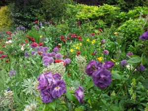 Supporting image for story: Gardens in the West Midlands, Staffordshire and Shropshire opening this weekend as temperatures sizzle