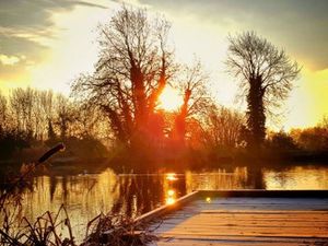 Supporting image for story: Telford nature reserve holds first-ever family summer event