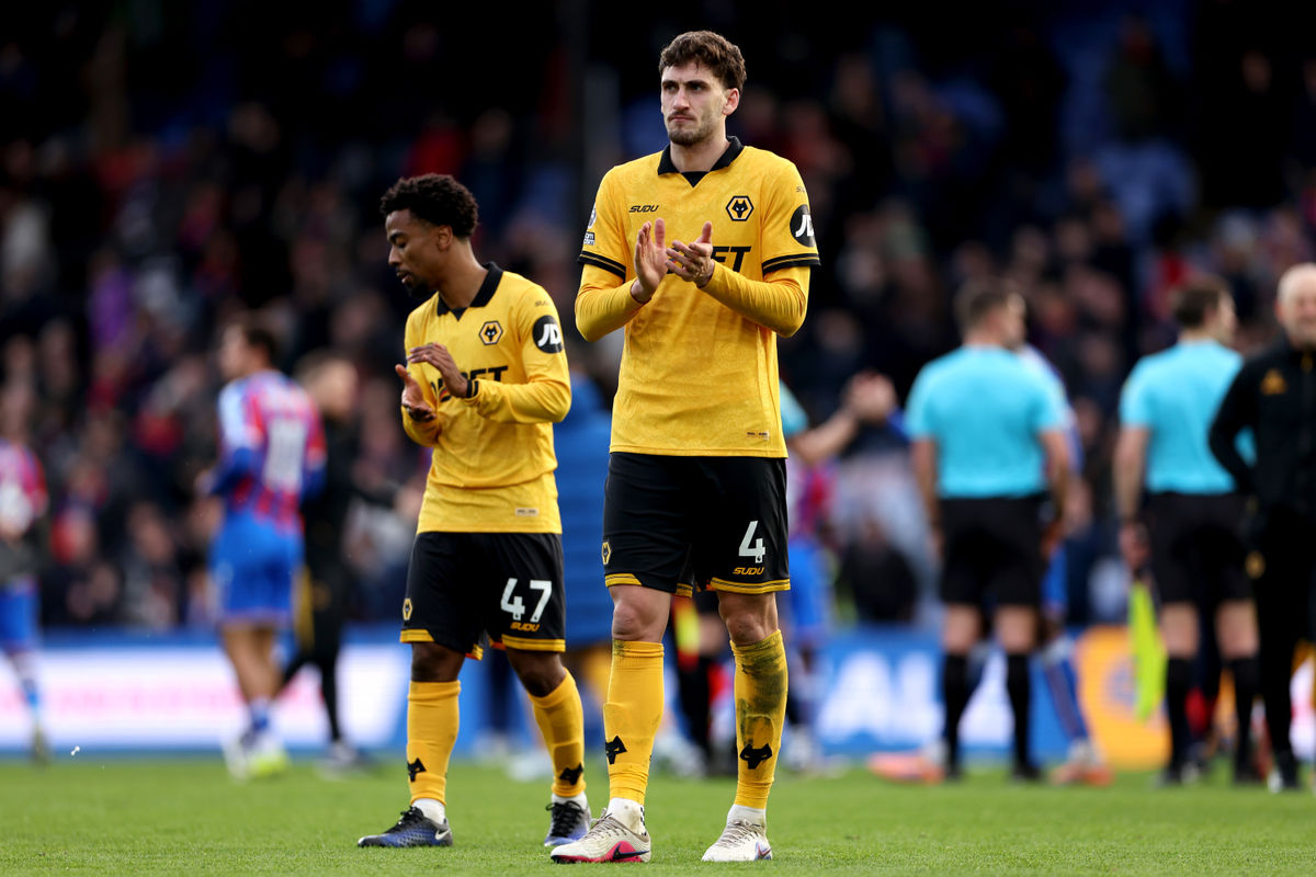Wolves Fans Verdict v Crystal Palace: A defeat of Wolves own making