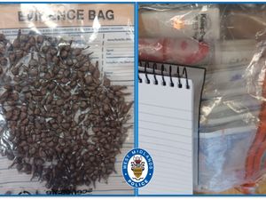 Supporting image for story: Suspected dealer arrested after police find '271 wraps of heroin and £14k in cash' at home