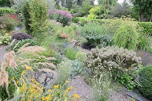 The garden is looking stunning at the moment following the recent rainfall
