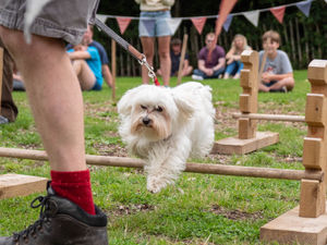 Supporting image for story: Victorian Dog Show event called off amid temperature fears as heatwave looms