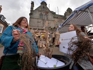 Supporting image for story: Tree give-away as Queen's Green Canopy comes to an end