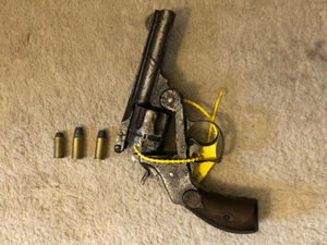 Supporting image for story: Loaded gun recovered and woman arrested in dawn raid in Birmingham