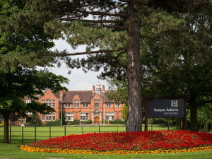 Supporting image for story: Preparing for new term