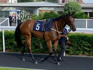 Supporting image for story: Racehorse set for 100th race in Wolverhampton