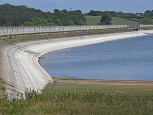 Supporting image for story: No hosepipe ban yet but West Midlands residents urged to 'use water wisely' as temperatures soar