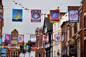 The Shrewsbury street art