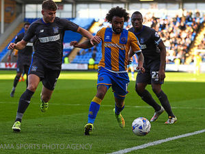 Supporting image for story: Joe Riley tipped to excite Shrewsbury fans