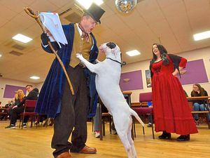 Supporting image for story: Stage set as dogs hit Bullseye at auditions
