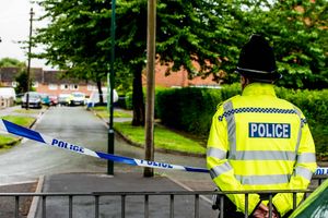 Supporting image for story