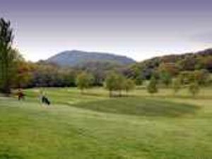 Supporting image for story: In the driving seat?