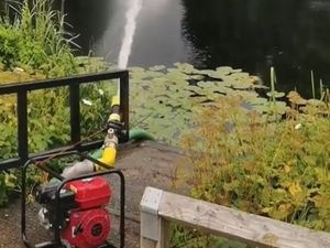 Supporting image for story: Talks over Newport canal action after fish deaths 