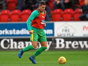 Supporting image for story: West Brom target midfielder to help deal with Jake Livermore's four-game ban