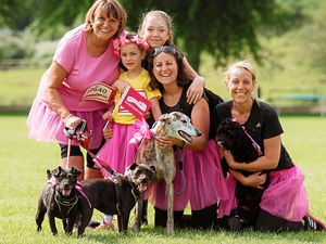 Supporting image for story: We’re in the pink to help beat cancer: Thousands take part in Race For Life in Shrewsbury - with pictures and video