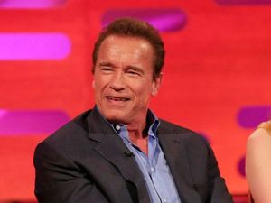 Supporting image for story