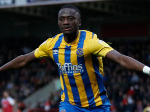 Supporting image for story: Analysis: Mixed feelings as Shrewsbury Town pegged back after red