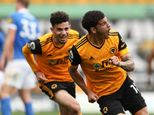 Supporting image for story: Wolves 2 Brighton 1 - Report 