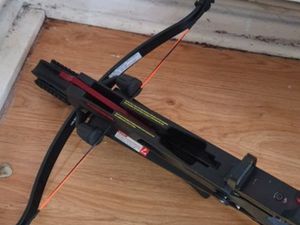 Supporting image for story: Peter Rhodes on executions, crossbows and how we envy our friends