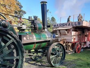 Supporting image for story: E.coli-hit Acton Scott working farm must be saved, says trust