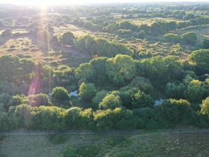 Supporting image for story: Bird, butterfly and dragonfly numbers soar at flagship rewilding project