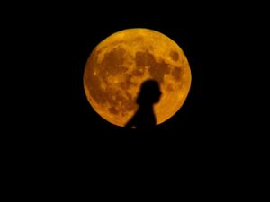Supporting image for story: Rare super blue moon set to delight stargazers