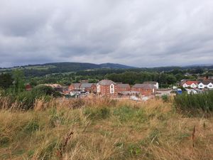Supporting image for story: New calls to protect Ludlow meadow from development work