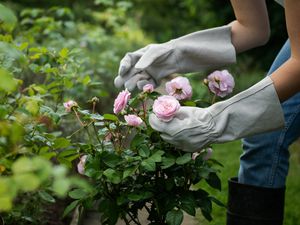 Supporting image for story: Renowned Shropshire business makes £10k pledge to community initiative launched in wake of tragedy